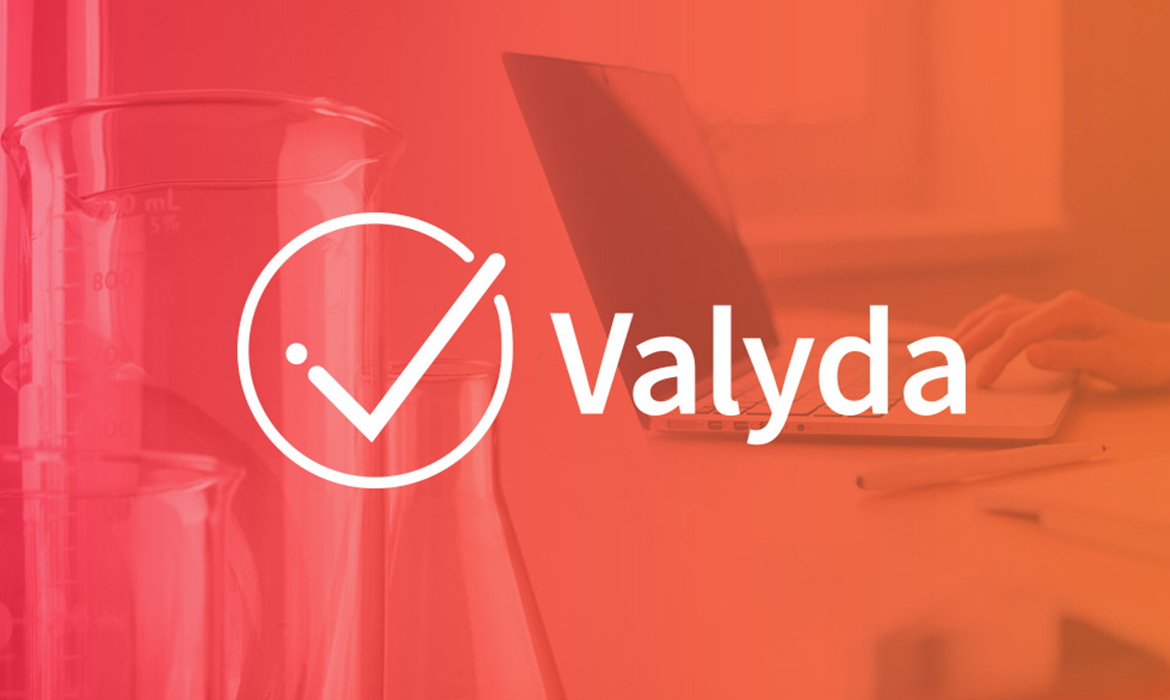 Naming - Identidade Visual - Site Valyda